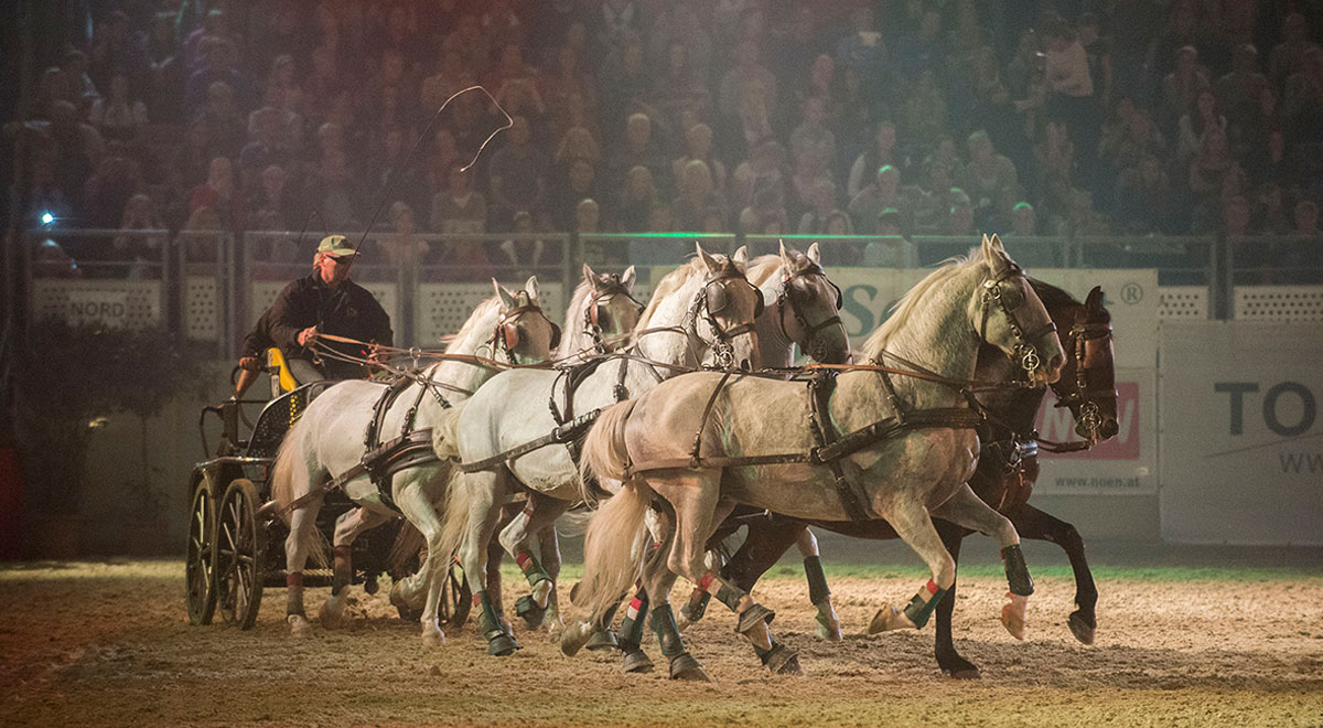Apropos Pferd 2015 / Foto: Arena Nova