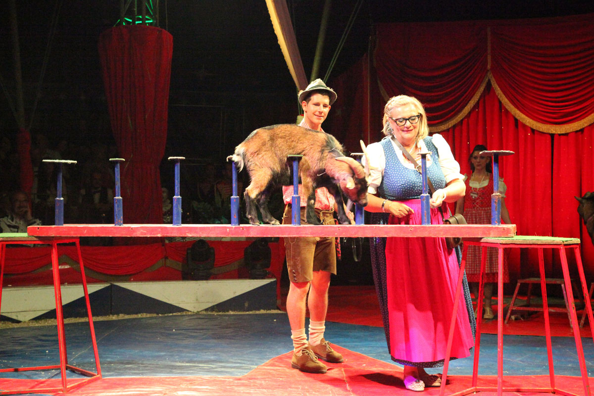 Charity-Zirkus mit Sluka-Grabner / Foto: Foto Steiger