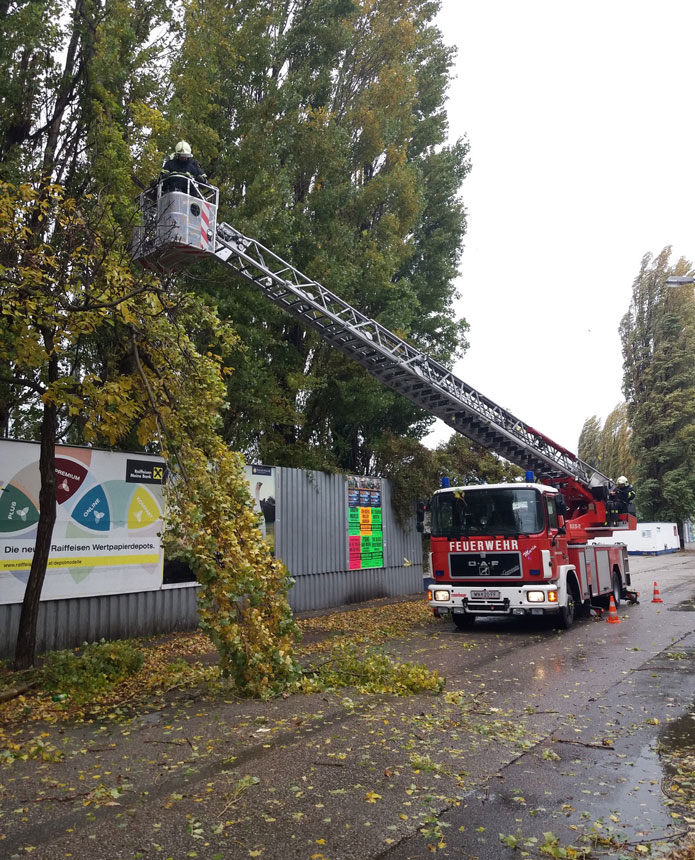 Sturmeinsatz Giltschwertgasse / Foto: Presseteam Feuerwehr Wiener Neustadt