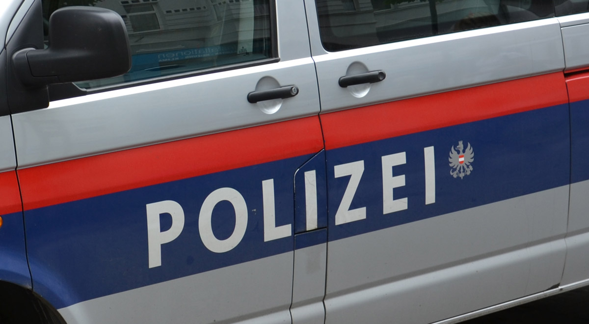 Mannschaftstransportfahrzeug Polizei / Foto: Plani (CC BY-SA 3.0)