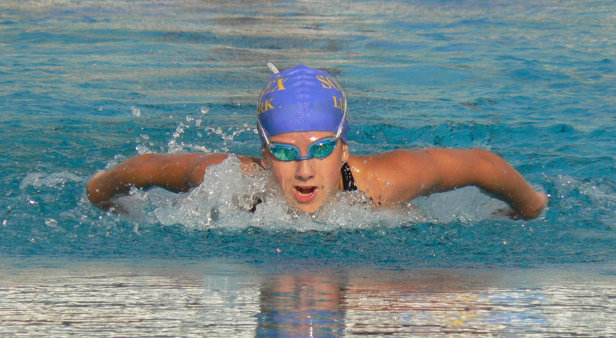 Schwimm-Landesmeisterschaften / Foto: pixabay