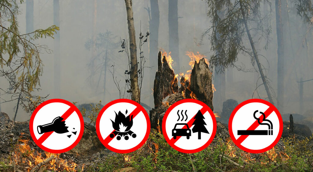 Vorsicht in Waldnähe: Waldbrandverordnung in Kraft