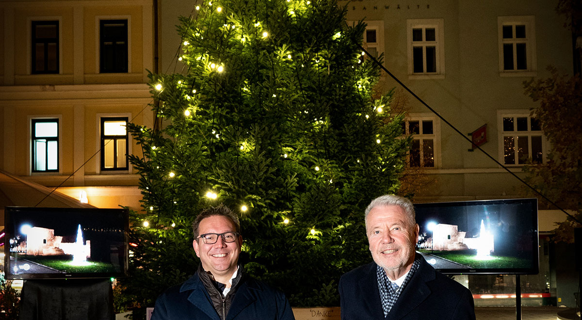 Der neue Christbaum / Foto: Stadt Wiener Neustadt/Weller